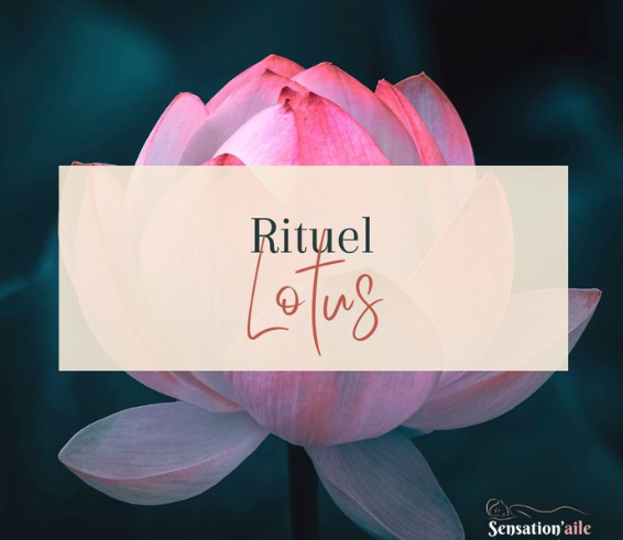 Rituel Lotus