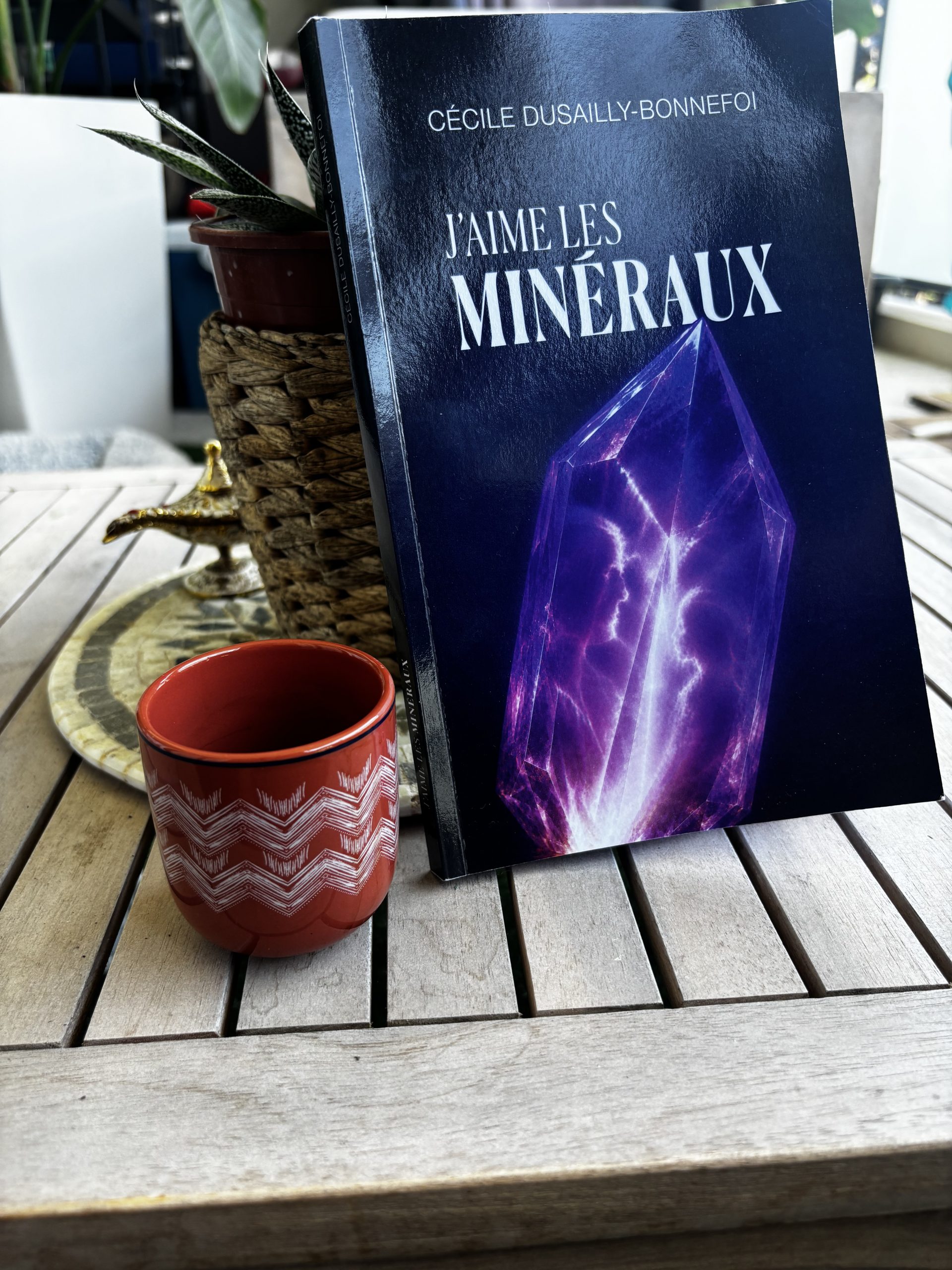 Livre J’aime les minéraux présenté avec une tasse